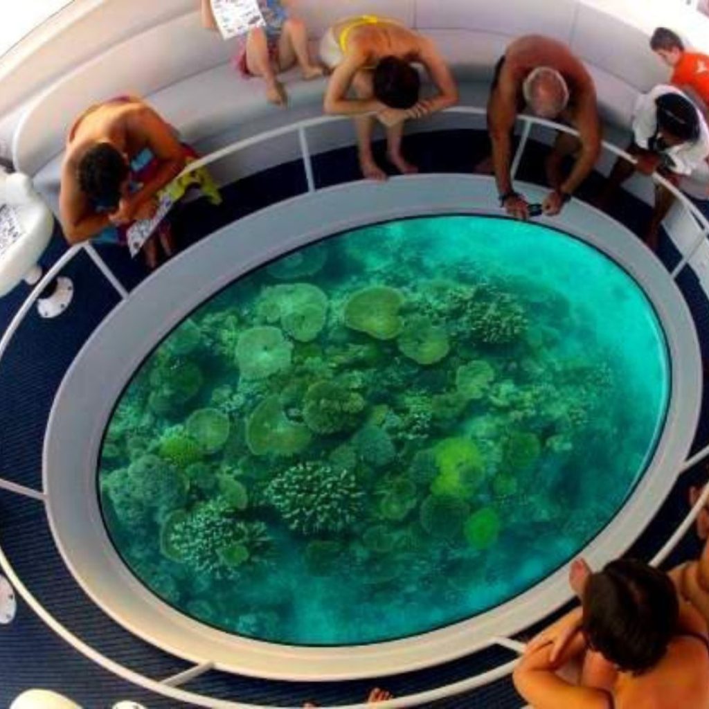 Top Ride Bottom Glass-Bottom Boat Rides