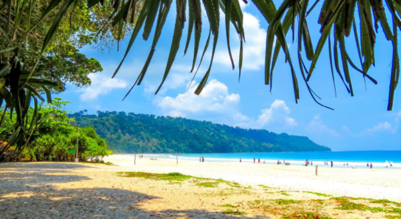Radhanagar beach 803 × 439